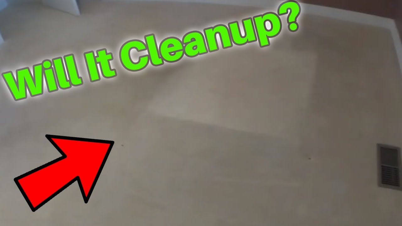 Carpet & Tile Cleaning For A New Homeowner - Peace Of Mind Cleaning