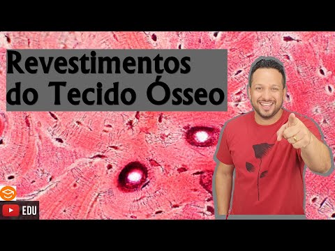 Vídeo: Quais são as camadas do osso?