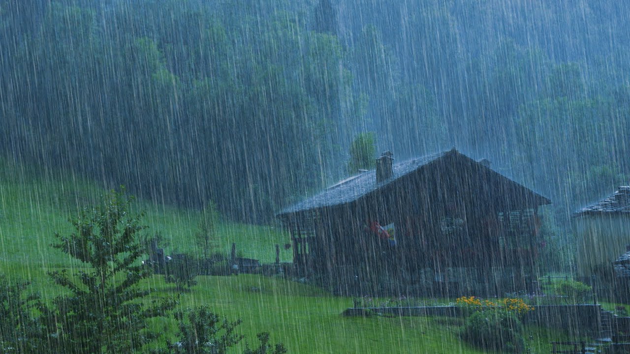 Sons de pluie pour dormir   Bruit de fortes pluies et de tonnerre dans la fort brumeuse la nuit