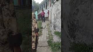 King Cobra in Action 🐍Dangerous Snake Encounter in the sMassive Python Discovery 🐍🔥Real #snakelogo