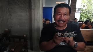 HISAP 12 BATANG SEKALIGUS, AMPUH BUAT TERAPI ROKOK REMPAH