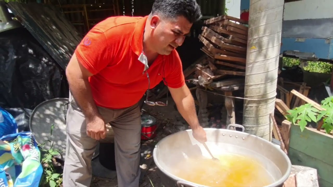 Como preparar alimento para las Abejas