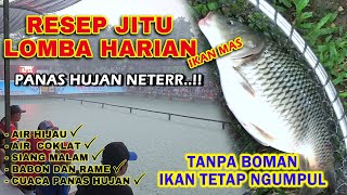 TERBUKTI AMPUH !! RESEP UMPAN IKAN MAS CUMA 4 BAHAN INI BIKIN BABON & RAME MAKAN LAHAP ❗❗