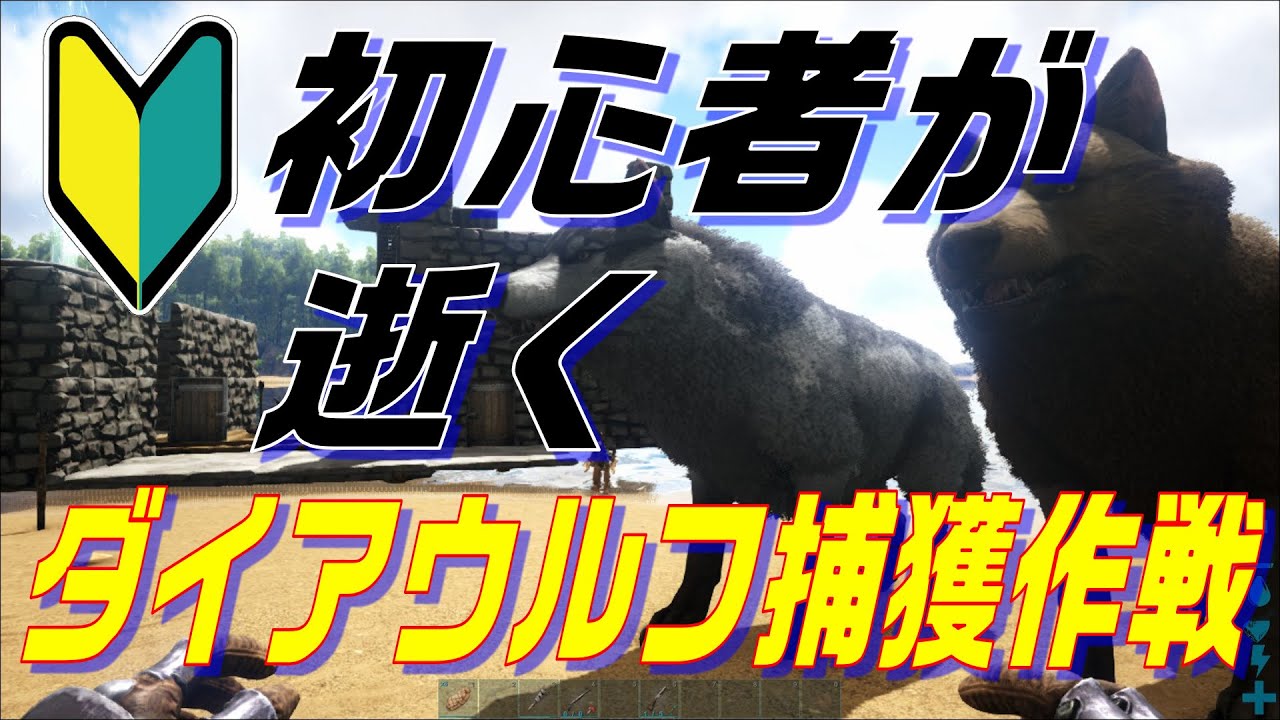 Ark Survival Evolved 初心者のダイアウルフ捕獲作戦 Youtube Ark Survival Evolved 初心者のダイアウルフ捕獲作戦 Youtube
