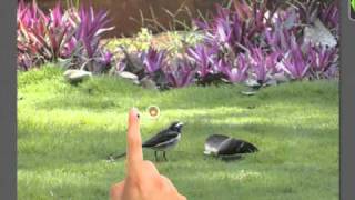 Removing object using clone on PhotoWizard-HD for iPad screenshot 4