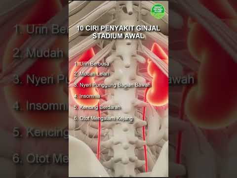 Video: Apa sajakah ciri-ciri gelombang Virtual Lab?