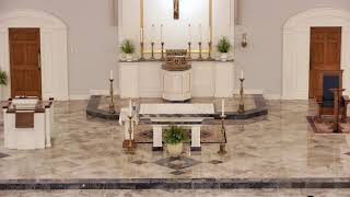 July 11, 2026 Daily Mass