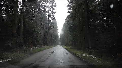 Snow Slowly Falling Down FHD | Free Video Background 2020