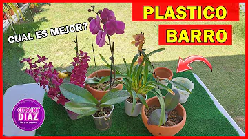 ¿A las orquídeas les gustan las macetas de barro o de plástico?