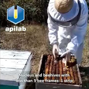 Aplicación de Flumevar / Amivar 500 AR