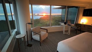 Famous The Duck Gets Upgraded at the Grand Hyatt Tampa Wealth