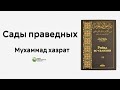 Сады праведных. Глава о мошенничестве