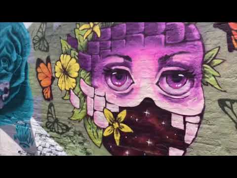 Video: Vicolo Di Street Art A Gand, Belgio - Matador Network