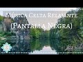 🎵 MUSICA CELTA PARA LIMPIAR ENERGIAS NEGATIVAS 🎑🌀 ELIMINA MALAS VIBRAS | ALMA PURA - Music Therapy