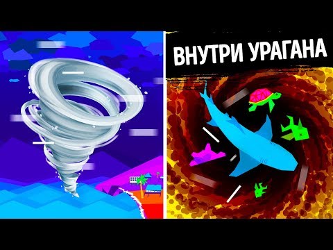 Что происходит под водой во время урагана