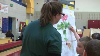 Bresnahan STEM Expo  The Mass Horticulture