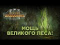 Лесные Эльфы Фракции Total War Warhammer 3 Лесные Эльфы Фракции Total War Warhammer 3