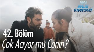 Download Vedat, Nefes Ve Yiğit'in Yanına Geliyor! - Sen Anlat Karadeniz 42. Bölüm Video MP3 Vedat, Nefes Ve Yiğit'in Yanına Geliyor! - Sen Anlat Karadeniz 42. Bölüm