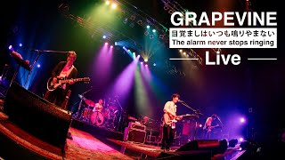 GRAPEVINE - 目覚ましはいつも鳴りやまない (Live at Zepp DiverCity 2021.07.08)