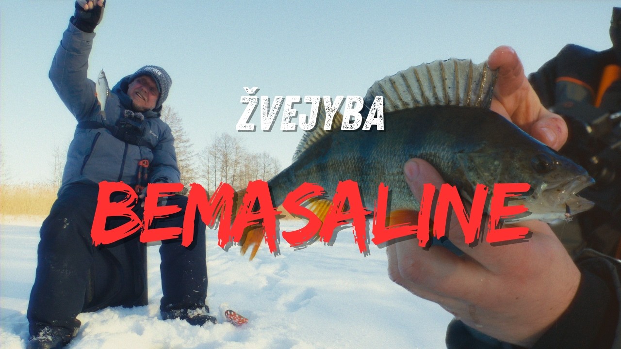 Bemasalinė avižėlė gelbsti kai nekimba su Pauliumi Korsaku | Vienam gale kablys | 4K