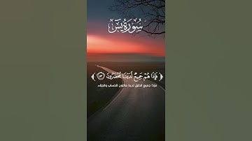 #اكسبلور #المصحف #تلاوات #راحة_نفسية #لايك #تلاوات_خاشعة #likeandsubscribe #qurantilawat #quran