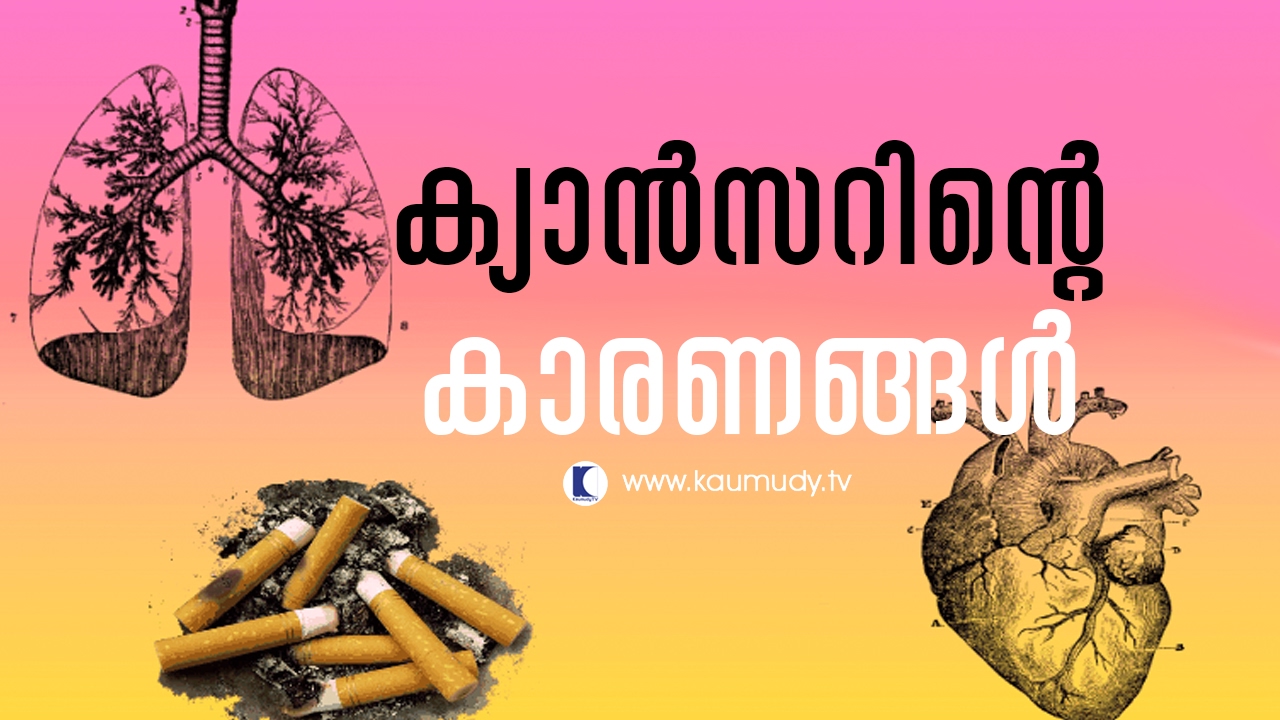 Reasons for Cancer | Doctors View | Ladies Hour