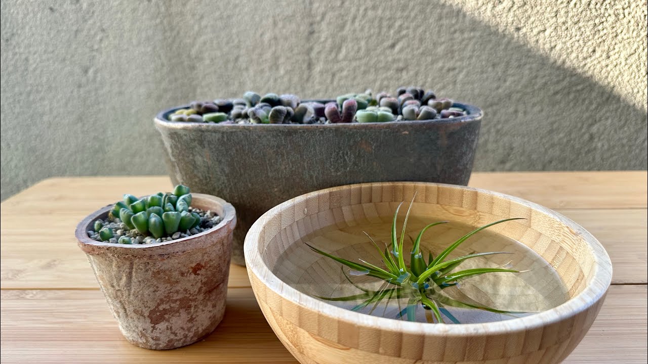 Вопросы 🔜 Ответы. 26.02.26