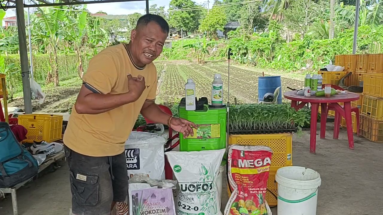 Ito po ang mga dapat e handa bago umpisahan ang Pag tatanim ng mga kamates