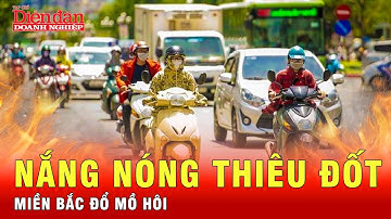 Miền Bắc nắng nóng diện rộng, nguy cơ bùng phát cháy rừng tăng cao | Tin tức 24h