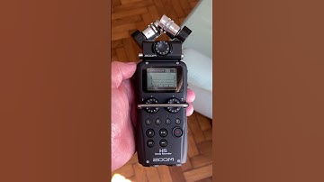 Do They Have Good Displays? | Zoom H5 vs H4n Pro