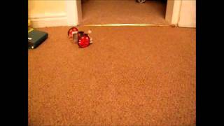 My First Robot