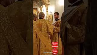 Андрей Юрьевич Ткачев Протоиерей*ВЕРА.