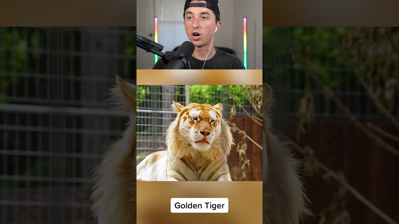 rarest animals EVER 🤯😱