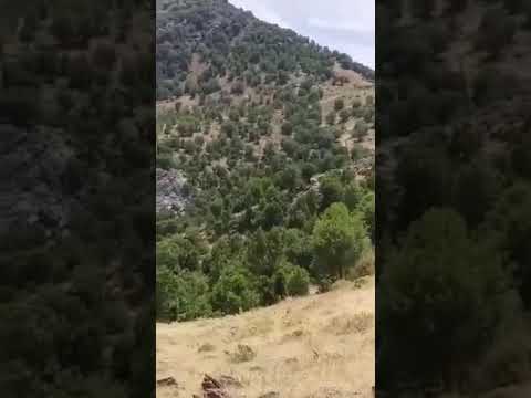 شلیک مستقیم نیروهای رژیم اشغالگر ایران بسوی کولبران در مرز بانه کردستان اشغالی دو مجروح برجای گذاشت