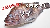 ウミタナゴの塩焼き 釣った魚を食べよう 2 Youtube
