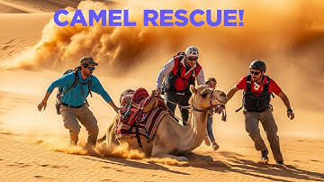 Camel Rescue in the Desert: Heart-Touching Survival Story!