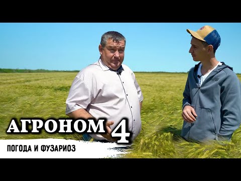 Промежуточный результат // Как влияют осадки // Часть 4