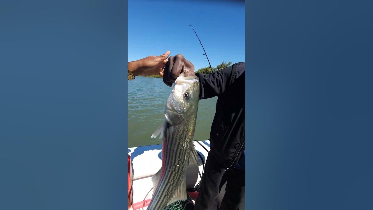 mind-your-business-lady-fishing-fish-funny-bassfishing-fishinglife