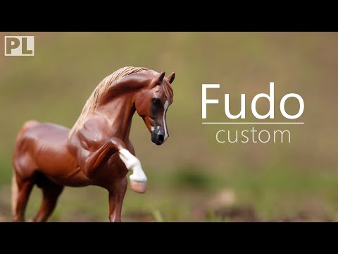 Custom 🐴| Fudo