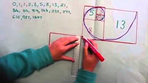 The Fibonacci Sequence