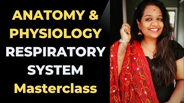 "Respiratory System Anatomy Explained | Easy Understanding for Medical Coders & Students"