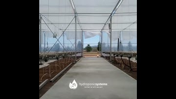 Greenhouse Hung Gutter Systems for Growing Strawberries