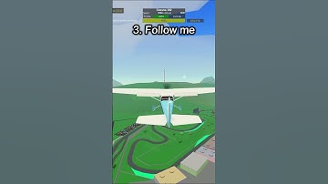 How to get the Find the Seagull Badge in PTFS