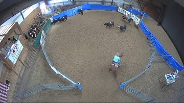 Big Sky Ranch Sorting Saddle Series #4 - OPEN - Round #1 - Ride #35