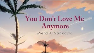 You Don't Love Me Anymore _ Wierd Al Yankovic ( LYRICS )