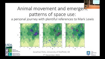 Animal movement and emergent patterns of space use: a personal journey with plentiful references...