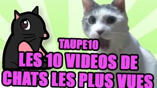 TOP 10 des vidéos de Chats les plus vues de tous les temps !