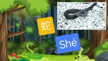 Bé học phát âm con rắn | Bé học phát âm tiếng Việt, tiếng Anh, tiếng Trung | Học cùng Minh Đức