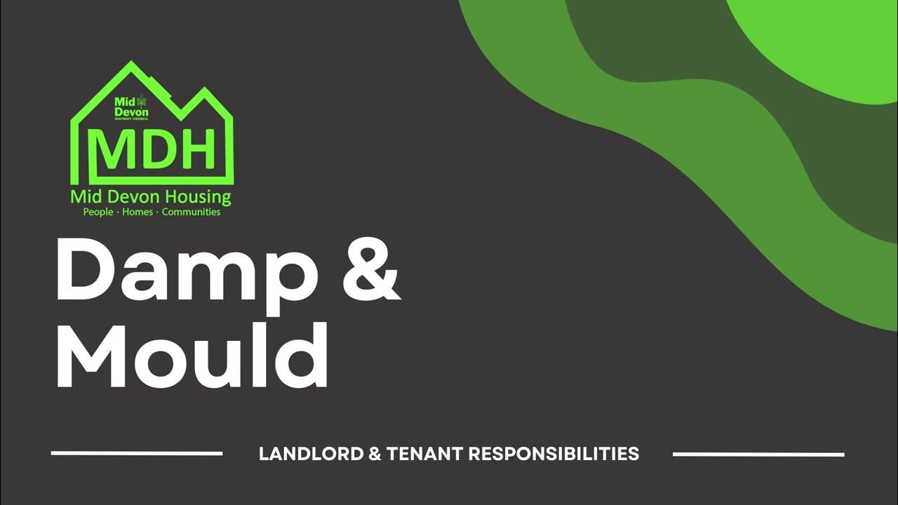 Landlord and Tenant Responsibilities Damp & Mould, Mid Devon Housing