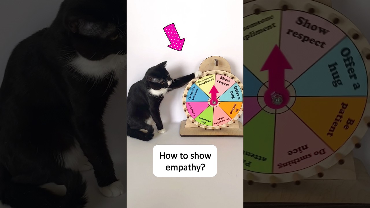 😸 Cute cat gives advice how to show empathy